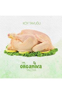 Köy tavuğu 3 adet ürün fotoğrafı