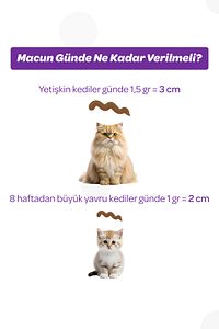 Sterilised Malt Macun 100gr (KISIRLAŞTIRILMIŞ KEDİLER IÇİN VİTAMİN VE ANTİOKSİDAN) ürün fotoğrafı