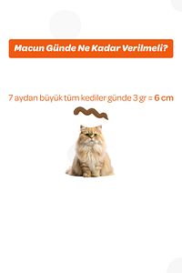 Multivitamin Malt Macun 100gr (BAĞIŞIKLIK SİSTEMİ DESTEKLEYİCİ) ürün fotoğrafı