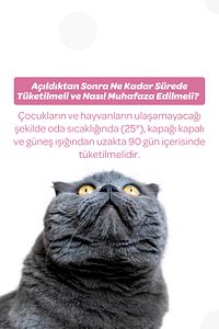 Kitten Folik Asit Ve Taurinli Malt Macun 100gr (YAVRU VE ANNE KEDİLER IÇİN GELİŞİM DESTEKLEYİCİ) ürün fotoğrafı