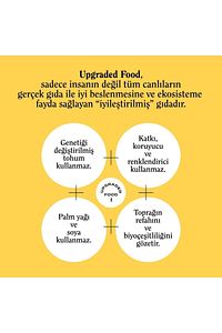 Glütensiz Filizlendirilmiş Yeşil Mercimek 175 G ürün fotoğrafı