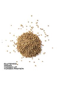 Glütensiz Filizlendirilmiş Yeşil Mercimek 175 G ürün fotoğrafı