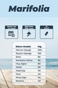 Marifolia 6 / 30 Kapsül 800mg - Mürver Çiçeği Içeren Takviye Edici Gıda ürün fotoğrafı