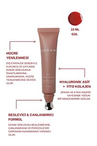 Metal Aplikatörlü Nemlendirici Onarıcı Besleyici Renkli Lip Gloss- Gül 15ml ürün fotoğrafı