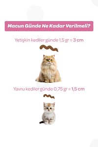 Kitten Folik Asit Ve Taurinli Malt Macun 100gr (YAVRU VE ANNE KEDİLER IÇİN GELİŞİM DESTEKLEYİCİ) ürün fotoğrafı