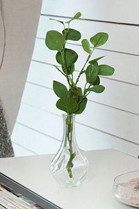 Vıljestark Dekoratif Cam Vazo, 17 Cm ürün fotoğrafı