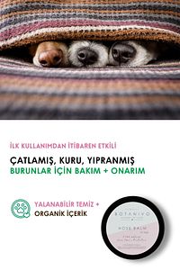 Köpekler Için Organik Içerikli Burun Bakım Ve Onarım Balmı 30 ml ürün fotoğrafı