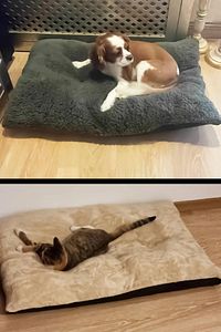 Peluş Kedi Ve Köpek Yatağı Yer Minderi - Karışık Renk ürün fotoğrafı