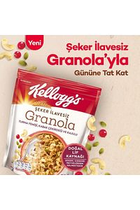 Şeker Ilavesiz Granola Turna Yemişi, Kabak Çekirdeği Ve Kajulu 250 gr X3 Adet ,%42 Yulaf ürün fotoğrafı