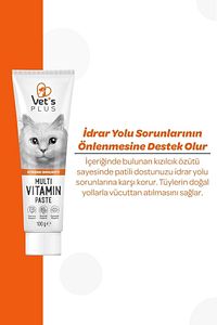 Multivitamin Malt Macun 100gr (BAĞIŞIKLIK SİSTEMİ DESTEKLEYİCİ) ürün fotoğrafı