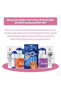 Kitten Folik Asit Ve Taurinli Malt Macun 100gr (YAVRU VE ANNE KEDİLER IÇİN GELİŞİM DESTEKLEYİCİ) ürün fotoğrafı