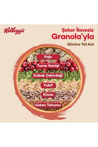 Şeker Ilavesiz Granola Turna Yemişi, Kabak Çekirdeği Ve Kajulu 250 gr X3 Adet ,%42 Yulaf ürün fotoğrafı