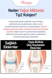 İçimi Kolay Tatsız Ve Kokusuz Hidrolize Kolajen (TİP 1-2-3) Toz Gıda Takviyesi ürün fotoğrafı