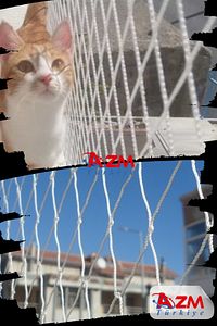 Balkon Filesi 2,5x5 Metre Kuş Filesi Kedi Filesi Güvercin Önleme Ağı ürün fotoğrafı