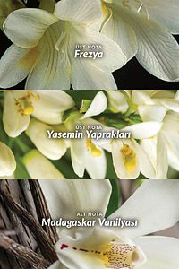 Far Away Kadın Parfüm Rollon Ve Vücut Losyonu Paketi ürün fotoğrafı