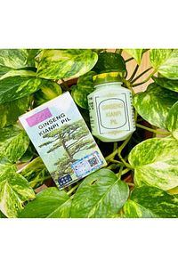 Wisdom Ginseng Kianpi Pil Karbonhidrat Tozu Yardımcısı Kapsül Bitkisel Gainer Check Kod Sorgulama ürün fotoğrafı