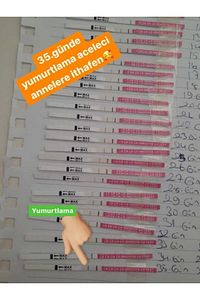 20 Adet Ovulasyon Testi 2 Adet Strip Erken Gebelik Testi ürün fotoğrafı