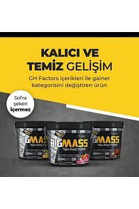 Mass Gainer Big Mass Gh Factors 5 kg Çikolatalı Karbonhidrat Tozu - Gainer - Shaker 500 ml ürün fotoğrafı