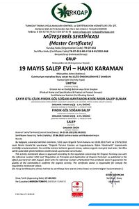 Salep Doğal Saf Katkısız Öğütülmüş Toz Sahlep Içecek Ve Dondurma 50 gr ürün fotoğrafı