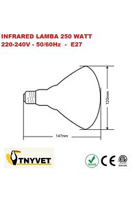INFRARED CİVCİV ISITICI LAMBA - AMPUL 250 WATT ürün fotoğrafı