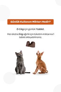 Immune Çiğnenebilir Tablet 60'lı (KEDİ VE KÖPEKLER IÇİN BAĞIŞIKLIK SİSTEMİ DESTEKLEYİCİ) ürün fotoğrafı
