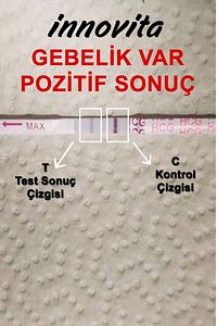 20 Adet Ovulasyon Testi 2 Adet Strip Erken Gebelik Testi ürün fotoğrafı