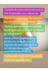 20 Adet Ovulasyon Testi 2 Adet Strip Erken Gebelik Testi ürün fotoğrafı