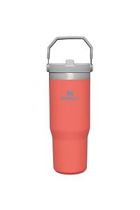 10-09993-195 The Iceflow Flip Straw 0,89 Litre Pipetli Termos Bardak - Açık Mercan ürün fotoğrafı