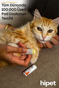 Kedi Jojoba Pati Stick ürün fotoğrafı
