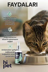 Sıvı Probiyotik Kedi Probiyotik 50 ml. ürün fotoğrafı