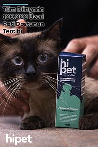 Sıvı Probiyotik Kedi Probiyotik 50 ml. ürün fotoğrafı