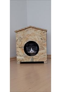 Dış Mekan Yağmura Ve Soğuğa Dayanıklı Osb Kedi Evi Yuvası (DENİZ TUTKALLI)monte Edilmiş Teslimat A ürün fotoğrafı