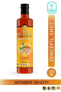 Ginger shot, Zencefil, Zerdeçal, Karanfil, Bal, Nane Özü, Hibiskus, Kara Mürver, C Vit 250ml İçecek ürün fotoğrafı