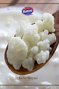 KEFİR MAYASI & 100 GR CHİA TOHUMU DOĞAL YÖRESEL NATURAL KATKISIZ PROBİYOTİK ürün fotoğrafı