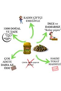Tokat Erbaa Damarsız Ince Asma Yaprağı 1.5 Kg Salamura Yaprak Taze Mahsül ürün fotoğrafı