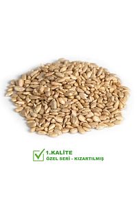 İşlenmiş İç Ay Çekirdeği 30 gr X 48 Adet (1440 gr) ürün fotoğrafı