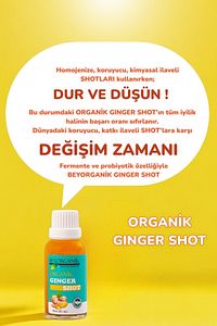 Organik Ginger Shot (PESTİSİT ANALİZLİ) ürün fotoğrafı