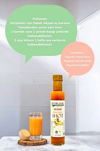 ORGANİK Zencefilli Shot 250ml (PESTİSİT ANALİZLİ) ürün fotoğrafı