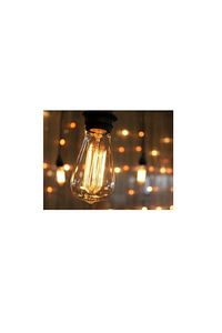 Armut Tipi Ampül Flemanlı Tasarruflu St64 Led Rustik Dekoratif Ampul Vintage Aydınlatma ürün fotoğrafı