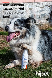 Köpek Kuru Şampuan ürün fotoğrafı