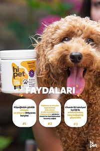 Multivitamin Çiğnenebilir Tablet ürün fotoğrafı