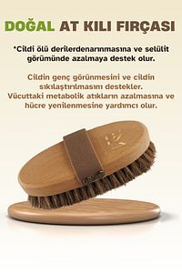 Selülit Karşıtı Doğal At Kılı Selülit Fırçası ürün fotoğrafı
