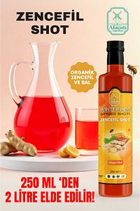 Ginger shot, Zencefil, Zerdeçal, Karanfil, Bal, Nane Özü, Hibiskus, Kara Mürver, C Vit 250ml İçecek ürün fotoğrafı