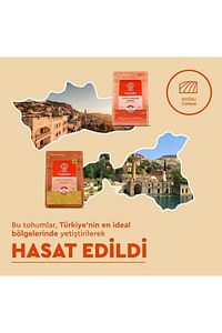 Kiraz Barbunya Niğde 1 Kg ürün fotoğrafı