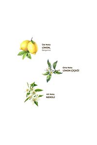 Limon Kolonyası 1 Lt ürün fotoğrafı