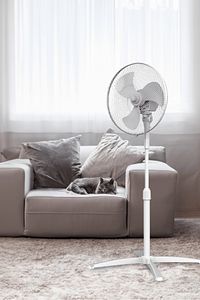 Beyaz Vantilatör 16'' (3P) Ktf-290 ürün fotoğrafı