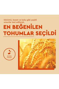 Kiraz Barbunya Niğde 1 Kg ürün fotoğrafı