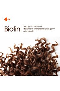 Biotin (ÇİNKO ÇÖREKOTU CİVAN PERÇEMİ AT KUYRUĞU ISIRGAN EKSTRESİ) 60 Kapsül ürün fotoğrafı