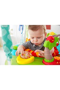 Yağmur Ormanı Jumperoo Chm91 ürün fotoğrafı