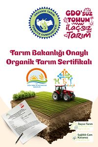 Organik Siyah Zeytin Ezmesi 180gr - Organik Bebek Siyah Zeytin Ezmesi 180gr ürün fotoğrafı